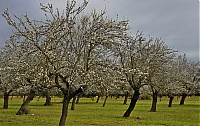 2016_Mallorca_059_ji.jpg