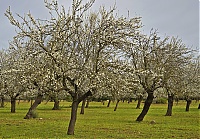 2016_Mallorca_060_ji.jpg