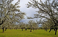 2016_Mallorca_061_ji.jpg