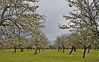 2016_Mallorca_063_ji.jpg