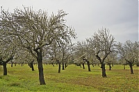 2016_Mallorca_064_ji.jpg