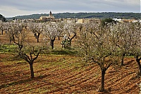 2016_Mallorca_065_ji.jpg