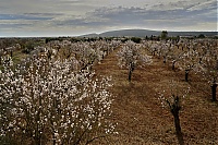 2016_Mallorca_066_ji.jpg