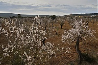 2016_Mallorca_068_ji.jpg