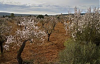 2016_Mallorca_069_ji.jpg