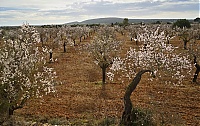 Dateiname=2016_Mallorca_070_ji.jpg
Dateigröße=1217KB
Abmessungen: 1600x1009
hinzugefügt am: 25. Januar 2020 2016_Mallorca_070_ji.jpg