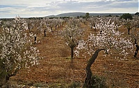 2016_Mallorca_070_ji.jpg