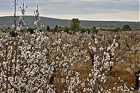 2016_Mallorca_078_ji.jpg