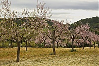 2016_Mallorca_084_ji.jpg