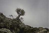 2016_Mallorca_088_ji.jpg