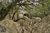 2016_Mallorca_091_ji.jpg