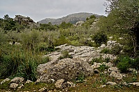 2016_Mallorca_097_ji.jpg