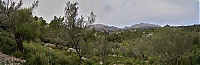 2016_Mallorca_098-105_ji.jpg