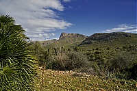 2016_Mallorca_120_ji.jpg