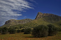Dateiname=2016_Mallorca_131_ji.jpg
Dateigröße=807KB
Abmessungen: 1600x1068
hinzugefügt am: 25. Januar 2020 2016_Mallorca_131_ji.jpg