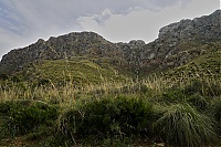 2016_Mallorca_133_ji.jpg