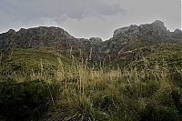 2016_Mallorca_134_ji.jpg