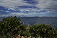 2016_Mallorca_139_ji.jpg