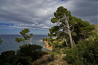 2016_Mallorca_140_ji.jpg