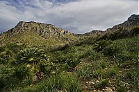 2016_Mallorca_142_ji.jpg