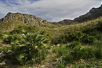 2016_Mallorca_143_ji.jpg