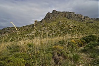 2016_Mallorca_145_ji.jpg