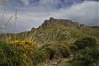 2016_Mallorca_146_ji.jpg