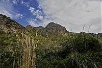 2016_Mallorca_149_ji.jpg