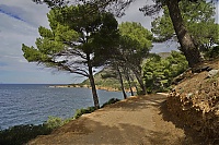 2016_Mallorca_152_ji.jpg