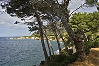 2016_Mallorca_153_ji.jpg