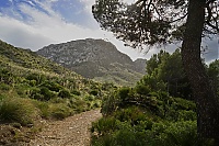 2016_Mallorca_155_ji.jpg