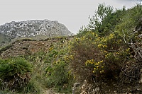 2016_Mallorca_157_ji.jpg