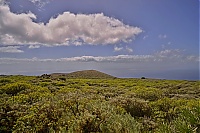 El_Hierro_156_ji.jpg