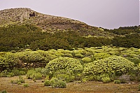 El_Hierro_162_ji.jpg