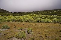 El_Hierro_167_ji.jpg