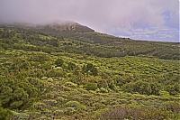 Dateiname=El_Hierro_170_ji.jpg
Dateigröße=729KB
Abmessungen: 1600x1068
hinzugefügt am: 25. Januar 2020 El_Hierro_170_ji.jpg