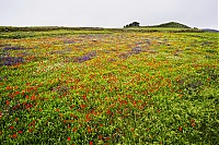 Dateiname=El_Hierro_203_ji.jpg
Dateigröße=1280KB
Abmessungen: 1600x1068
hinzugefügt am: 25. Januar 2020 El_Hierro_203_ji.jpg