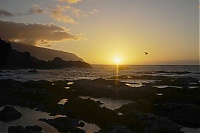 Dateiname=El_Hierro_246_ji.jpg
Dateigröße=280KB
Abmessungen: 1600x1068
hinzugefügt am: 25. Januar 2020 El_Hierro_246_ji.jpg
