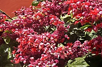 Dateiname=La_Gomera_006_ji.jpg
Dateigröße=662KB
Abmessungen: 1600x1068
hinzugefügt am: 25. Januar 2020 La_Gomera_006_ji.jpg