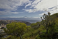 La_Gomera_059_ji.jpg