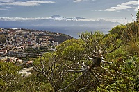 La_Gomera_060_ji.jpg