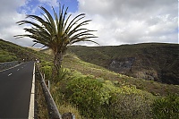 La_Gomera_069_ji.jpg