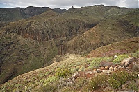 La_Gomera_106_ji.jpg