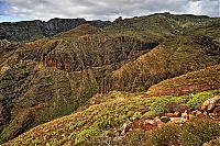 La_Gomera_108_ji.jpg