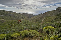 La_Gomera_112_ji.jpg