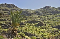 La_Gomera_224_ji.jpg