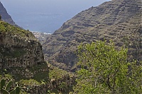 La_Gomera_272_ji.jpg