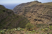 La_Gomera_276_ji.jpg