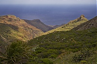 Dateiname=La_Gomera_288_ji.jpg
Dateigröße=657KB
Abmessungen: 1600x1068
hinzugefügt am: 25. Januar 2020 La_Gomera_288_ji.jpg
