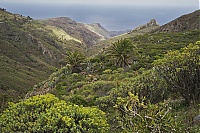 La_Gomera_290_ji.jpg